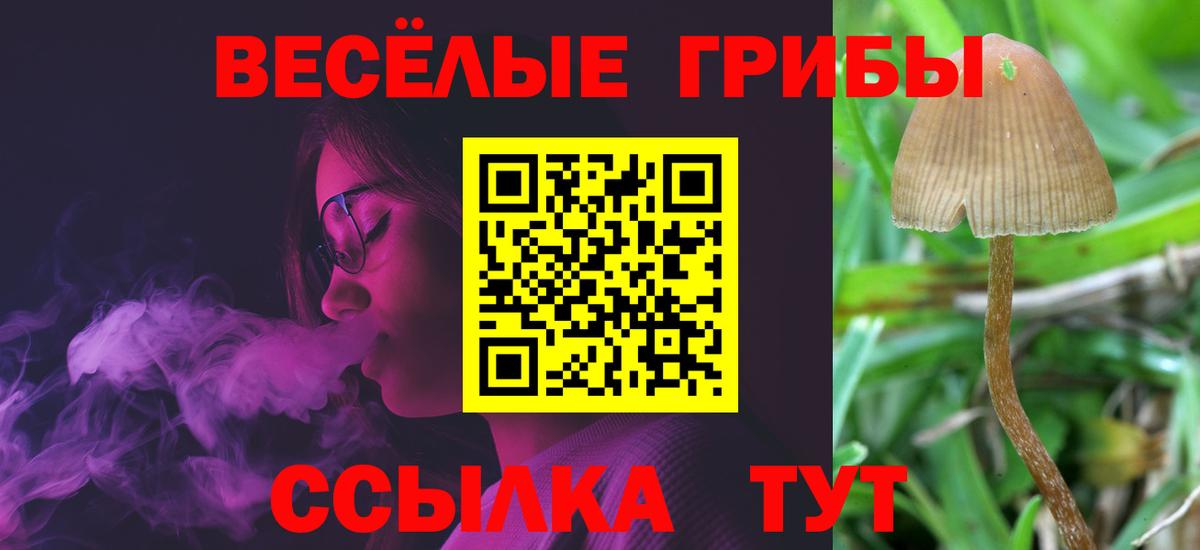 Гусиноозёрск  Псилоцибиновые грибы мицелий  Вход с VPN 